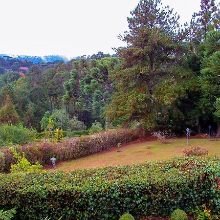 Chale Com Lareira E Wi-Fi Em Campos Do Jordao - Sp Villa Екстериор снимка